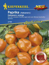 Paprika Habanero orange