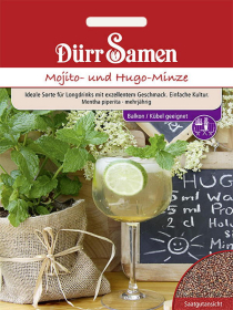 Mojito- und Hugo-Minze