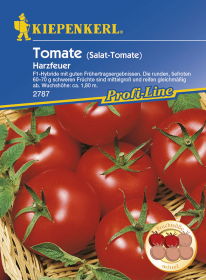 Tomaten Harzfeuer F1