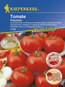 Tomaten (Stabtomaten) Phantasia, F1