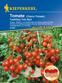 Cherry-Tomate Tumbling Tom Red