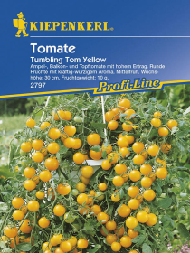 Tomaten (Ampel) Tumbling Tom Yellow