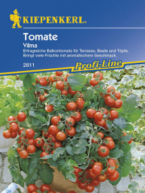 Tomaten (Balkontomaten) Vilma