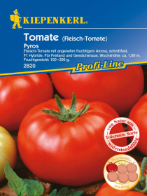 Fleisch-Tomate Pyros, F1