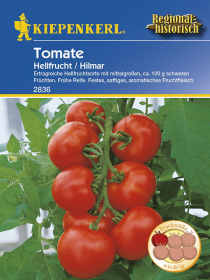 Tomaten Hilmar