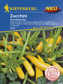Zucchini Shooting Star