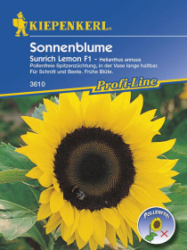 Sonnenblume Sunrich Lemon, F1