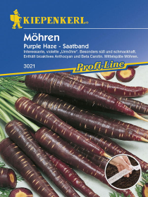 Möhren Purple Haze, F1