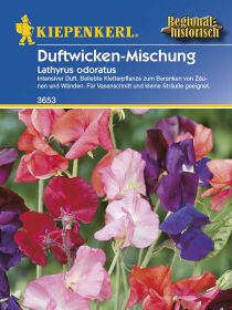 Lathyrus Duftwicken-Mix