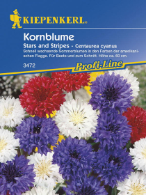 Kornblume Stars and Stripes