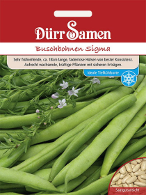Buschbohnen Sigma