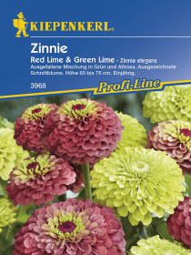 Zinnien Red Lime + Green Lime