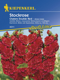 Stockrosen Chaters Double Red