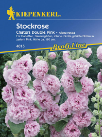 Stockrose Chaters Pink