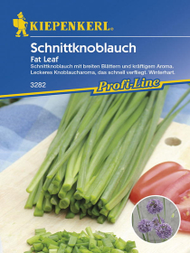 Schnittknoblauch Fat Leaf