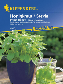 Honigkraut (Stevia) Sweet Honey