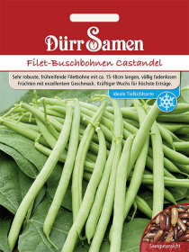 Filet Buschbohnen Castandel