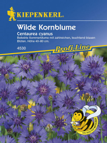 Wilde Kornblume Centaurea cyanus