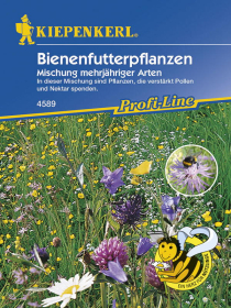 Blumenmischung Bienenfutterpflanzen