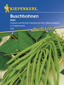 Buschbohnen Maxi