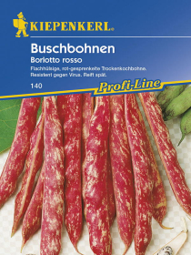 Buschbohnen Borlotto rosso