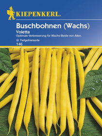 Buschbohnen Voletta