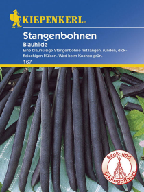 Stangenbohnen Blauhilde